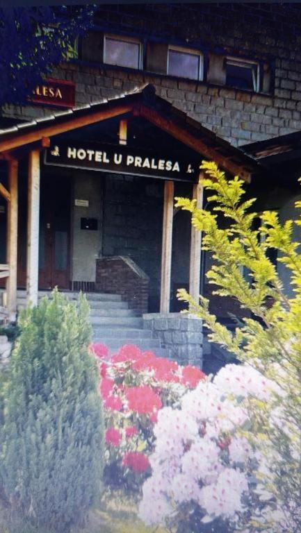 Apartamento Kopretina Cerne Udoli Exterior foto