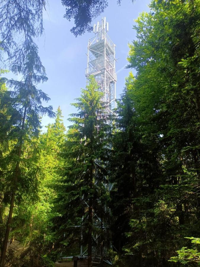 Apartamento Kopretina Cerne Udoli Exterior foto