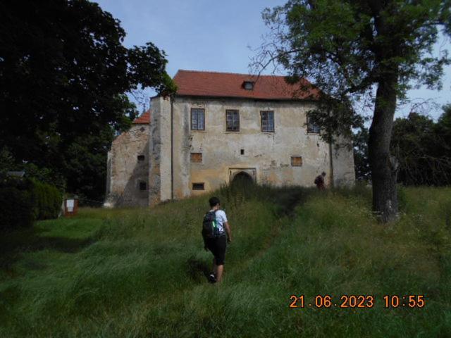Apartamento Kopretina Cerne Udoli Exterior foto